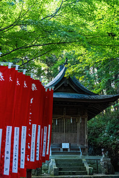 View of a Japanese temple beneath a canopy of green leaves, framed by vibrant red banners with white script, standing peacefully, Takayama, Gifu, Japan.