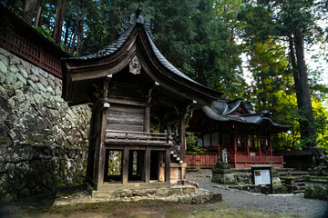 View of weathered wooden structures with ornate roofs nestled among tall, green trees and stone walls, creating a serene and historical ambiance, Takayama, Gifu, Japan.