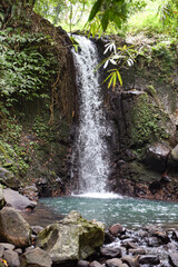 beautiful waterfall, known as Tibu Sampi Waterfalls amidst fascinating vegetation, is located in Selemadeg Timur, Tabanan, Bali, Indonesia