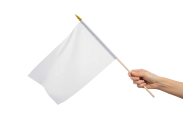 Hand holding a small blank white flag on a wooden stick