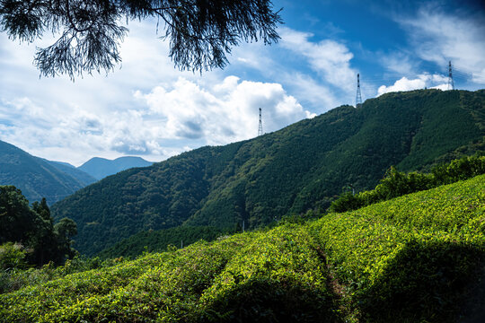 View of verdant hillsides meet a vibrant blue sky dotted with fluffy clouds, power lines standing tall on the summit, Ibigawa, Gifu, Japan. - Powered by Adobe