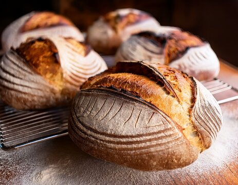 artisan sourdough bread loaves cooling on wire rack with flour dusted on the table