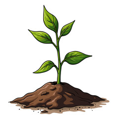 Small green sprout emerging from the brown soil