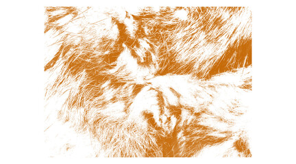 Abstract depiction of fur texture in shades of orange and white art
