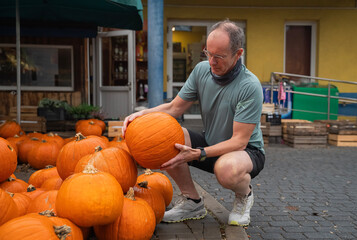 Dorosła osoba wybierająca na targu dużą dynię © siwyk
