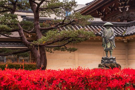 View of a bronze statue stands serene against a weathered wall, framed by vibrant red bushes and a gnarled pine, embodying timeless grace, Kanazawa, Ishikawa, Japan.