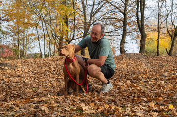 dorosła osoba bawiąca się z psem rasy pitbul na spacerze w jesienny słoneczny dzień © siwyk