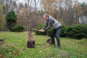 dorosły mężczyzna rąbiący drewniane pieńki siekierą w ogrodzie