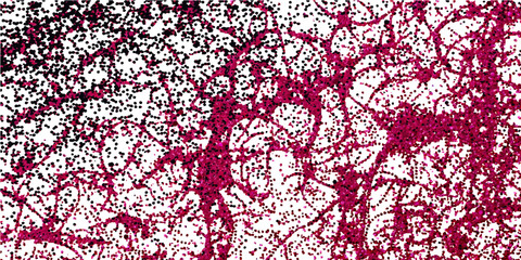 A seamless floral vector texture with red and white abstract stripes is an ornamental vintage wallpaper pattern