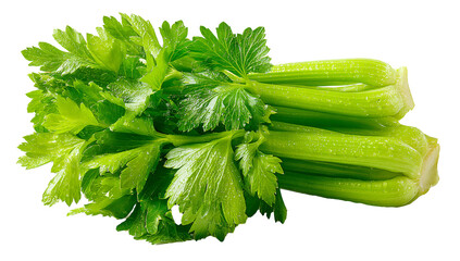Celery stalk with leaves close up, Fresh organic celery vegetable