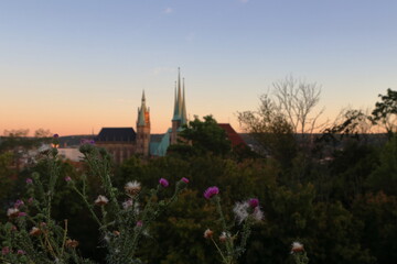 erfurt