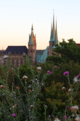 Fototapeta premium erfurt