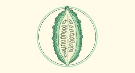 Bitter Melon Illustration Against a Light Background with a Clean and Modern Aesthetic