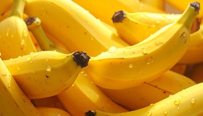 Pile of bright, ripe yellow bananas covered in tiny water droplets, gleaming in warm light
