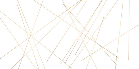 Abstract background with lines. Golden lines on White paper. Line wavy abstract vector technology line pattern background.