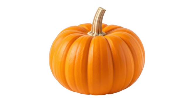 Fresh orange pumpkin with stem for autumn or harvest theme