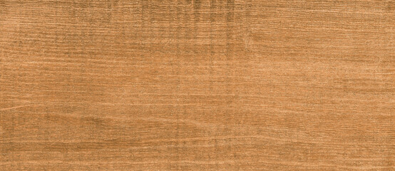 Fototapeta premium Wood texture background, wood planks. Grunge wood, painted wooden wall pattern