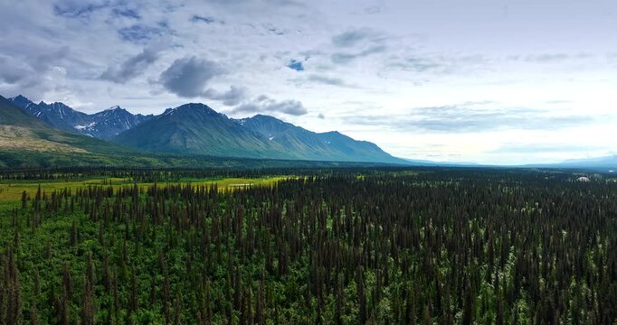 Flying above the vast pine tree wood on the green valley. Heading to the ridged mountains at backdrop. Alaska, USA.