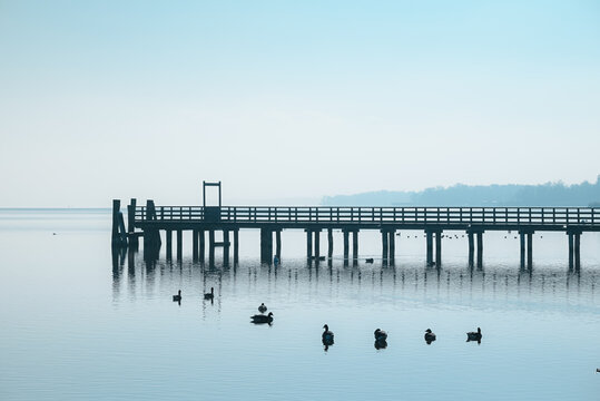 View of a serene pier stretching into the tranquil, reflective waters, with ducks gliding peacefully, casting soft ripples in the cool morning light, Schondorf am Ammersee, Bavaria, Germany.