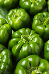 Tasty green bell peppers as background, closeup