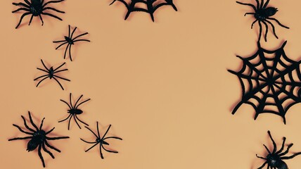 spiders and cobwebs on a yellow background