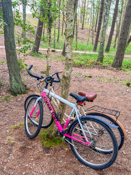 Pink bicycle parked in shaded forest area with sunlight filtering through trees during summer day in Leba Poland. High quality photograph
