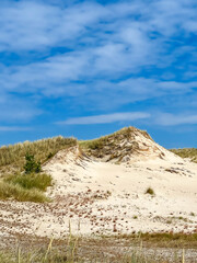 White sand dunes with sparse vegetation under dramatic blue cloudy sky in Leba Poland Baltic coastal landscape. High quality photograph