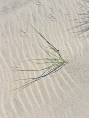 Minimalist abstract view of wind rippled white sand texture with shadow patterns in Leba Poland beach. High quality photograph