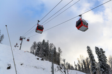 A ski lift in a winter forest with snow-covered trees in the background.