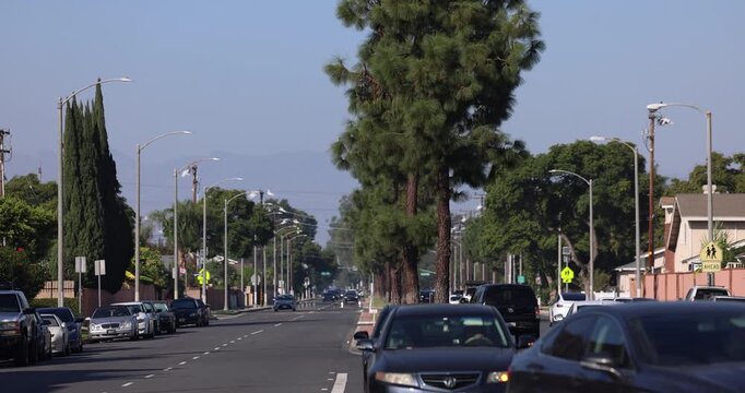 Cars pass through tree lined Bloomfield Avenue in the urban core of Lakewood, California, USA.
