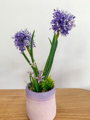 Small artificial plant in a white pot, perfect for home or office decoration, minimalist and cute, adding a touch of greenery indoors.
November 12 2025
Pinrang, South Sulawesi Indonesia.