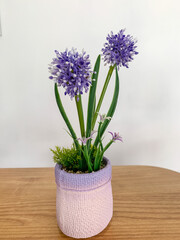 Small artificial plant in a white pot, perfect for home or office decoration, minimalist and cute, adding a touch of greenery indoors.
November 12 2025
Pinrang, South Sulawesi Indonesia.