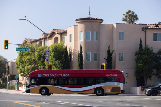 Lakewood, California, USA - November9, 2025: A Long Beach Transit bus makes a turn away from Bloomfield Avenue.