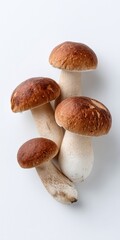 Obraz premium Fresh brown porcini mushrooms on white background