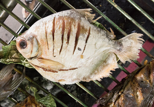 Detailed top view of a whole Paco fish (Piaractus brachypomus) grilling on a barbecue. The scored river fish is seasoned and cooking over hot coals. Authentic jungle cuisine from Peru.