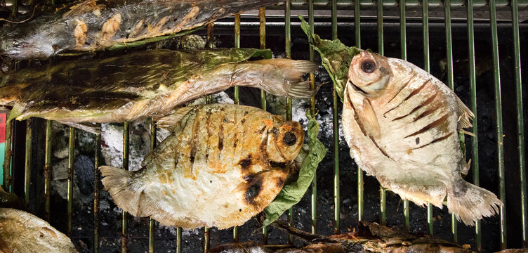 Top view of traditional Peruvian Amazon fish (Paco and Doncella) grilling on a barbecue. Fresh river fish cooking over hot coals with bijao leaves. Authentic jungle cuisine.
