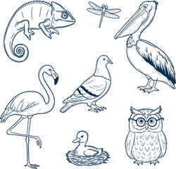 A collection of various animals, including a chameleon, dragonfly, pelican, flamingo, pigeon, duck, and owl, all in a detailed line drawing