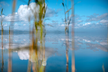 Tranquil lake scene with tall grass reflecting clouds and blue sky in serene atmosphere