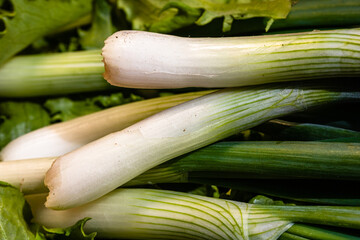 Bunch of green onions. Spring onions detail, healthy food concept