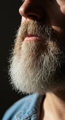 A mature growth of bright, snowy facial hair illuminated by soft window light, conveying a sense of distinguished experience and style ,beard ,experience ,grey