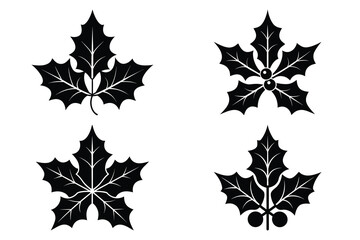 holly leaves vector icon set, black color and white background