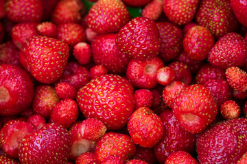 Fresh red strawberries from above