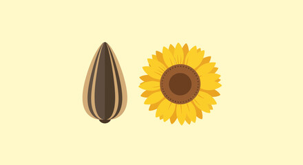 Sunflower and Seed Illustration Depicting Flora, Growth, and Natural Beauty, Botanical Imagery