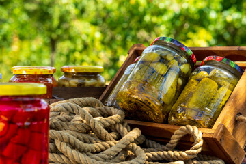 Canned cucumber in vinegar