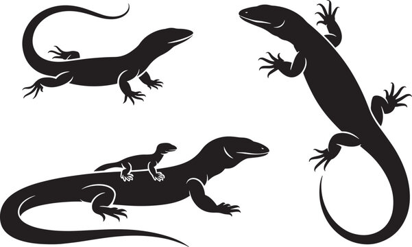 Vector silhouettes set of varanus monitor lizards large reptile wildlife fauna illustration concept design