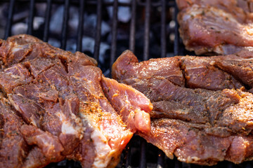 Pork chops, steak, sausages on barbecue grill