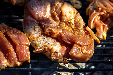 Pork chops, steak, sausages on barbecue grill