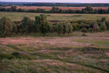 A large field with trees and grass