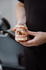 Dentist holding anatomical dental jaw model for patient education, clinic closeup