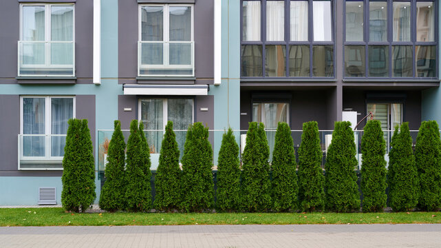 modern apartment facade with green hedge showcases urban architecture and landscape design. vibrant greenery adds privacy and aesthetic appeal to residential building environment